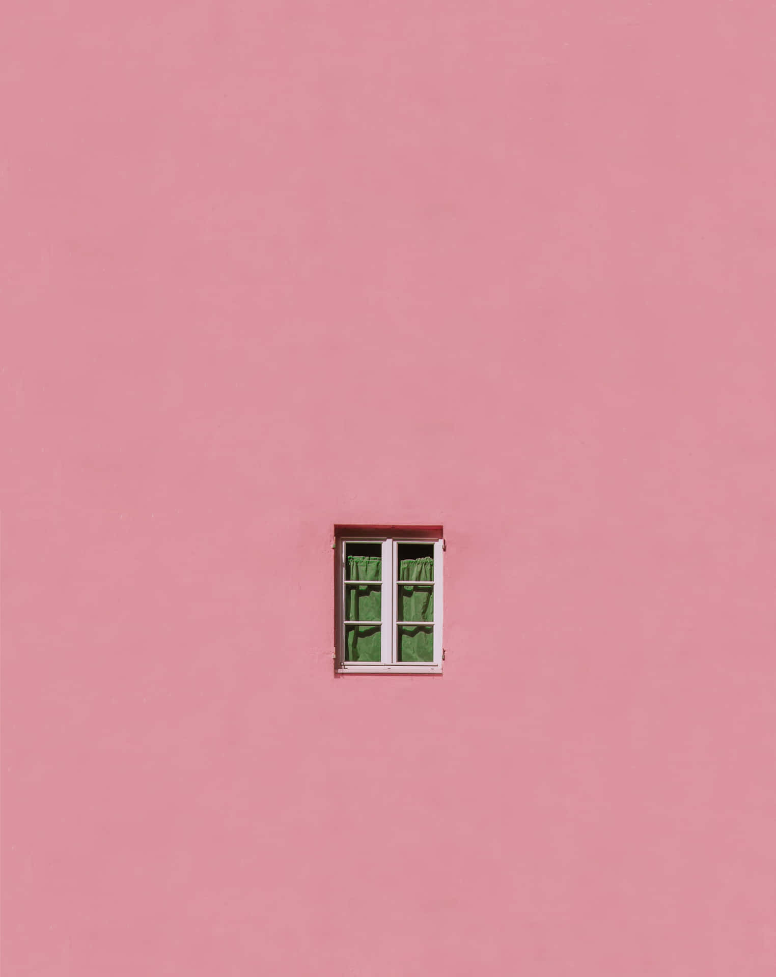 Eye-catching Pink Wall Background