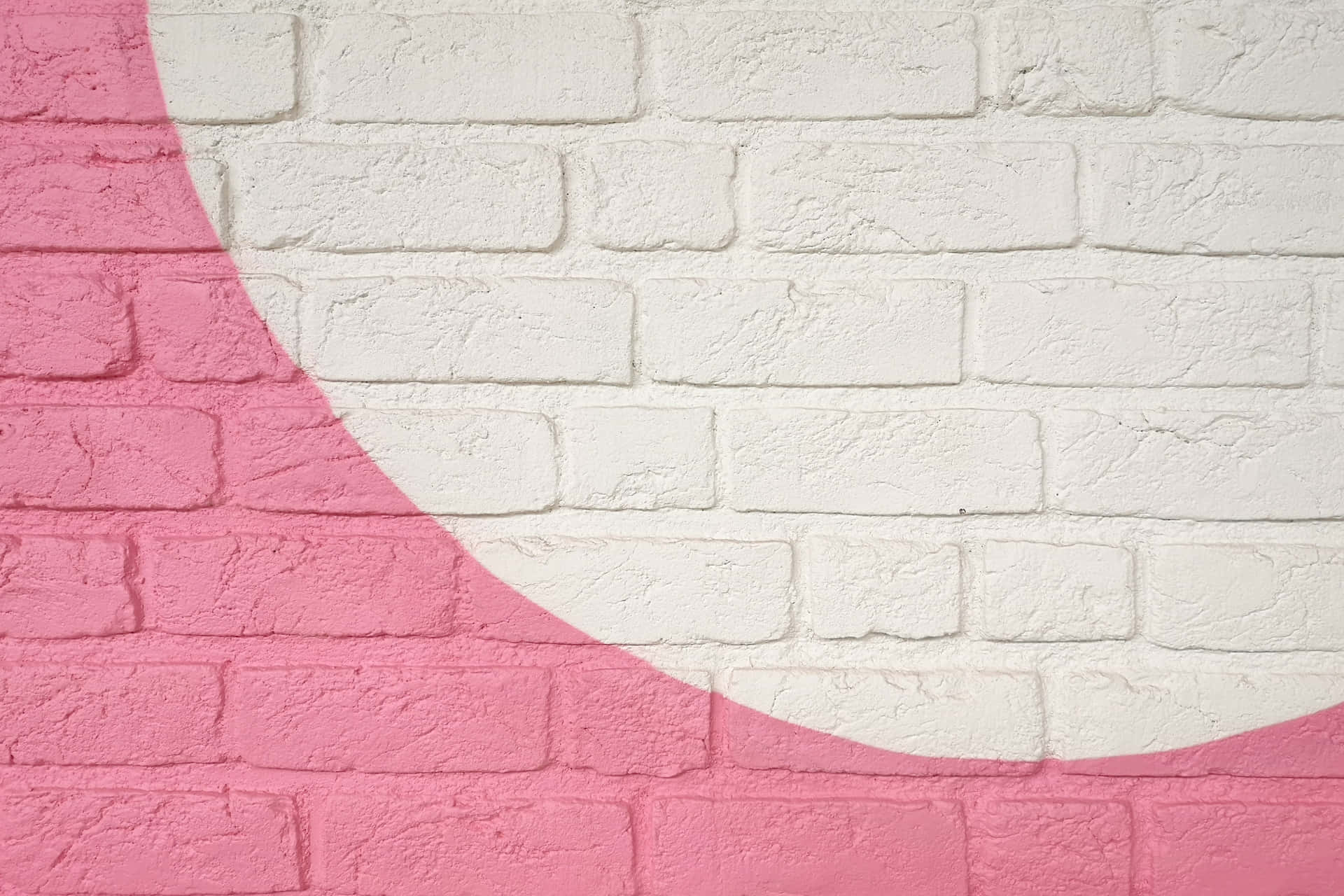 A vibrant and elegant pink wall background