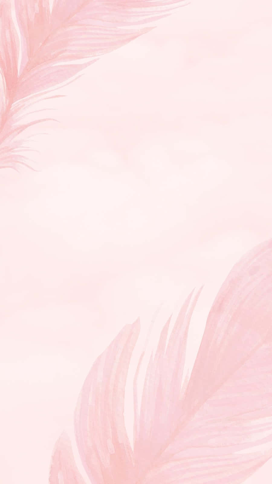 Pink Watercolor Feathers Background Wallpaper