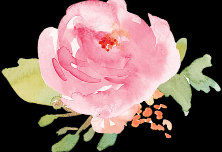 Pink Watercolor Flower Illustration PNG