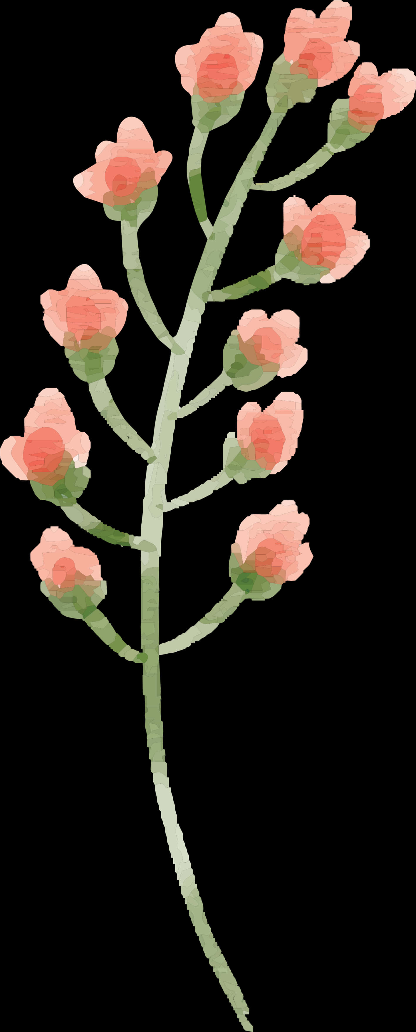 Pink Watercolor Flowers Stem PNG