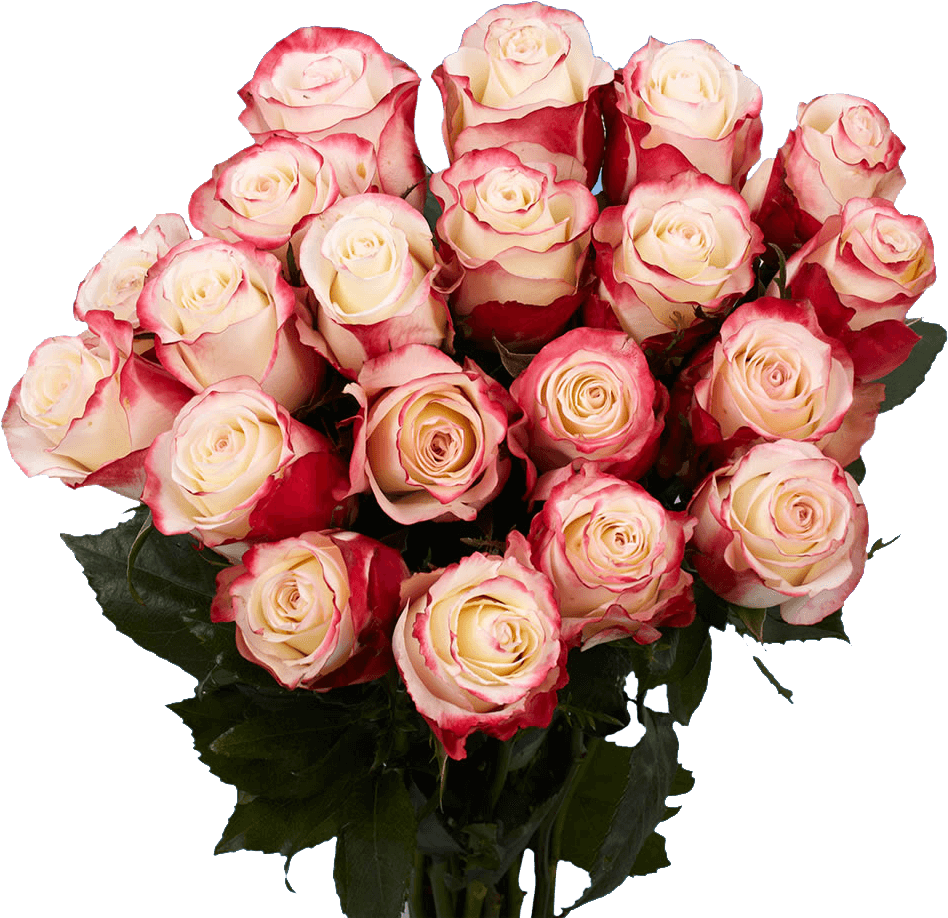 Pink White Rose Bouquet Birthday Flowers PNG