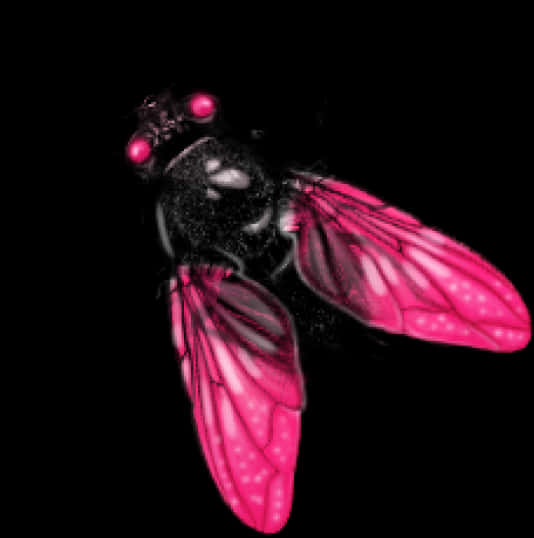 Pink Winged Fly Illustration PNG