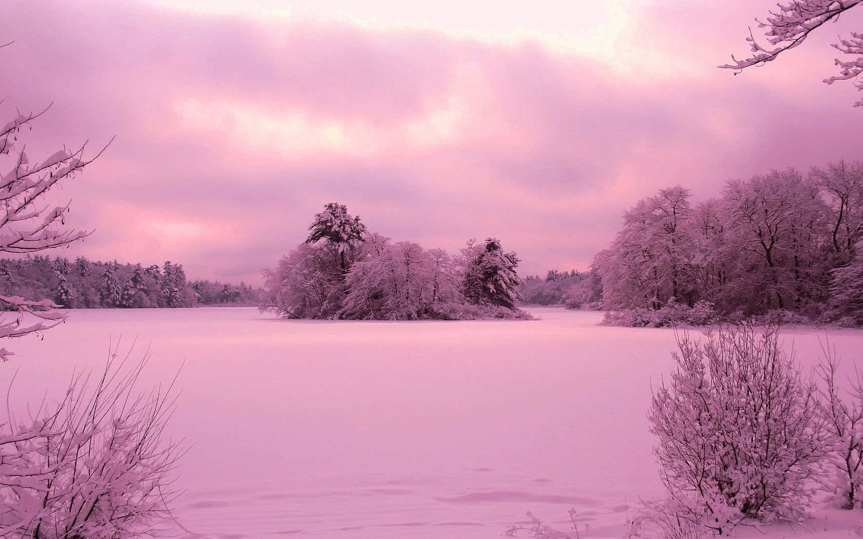 Pink Winter Landscape Frozen Lake Wallpaper