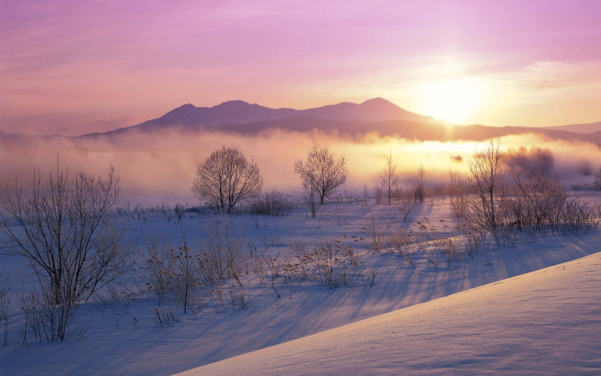 Pink Winter Sunrise Landscape Wallpaper