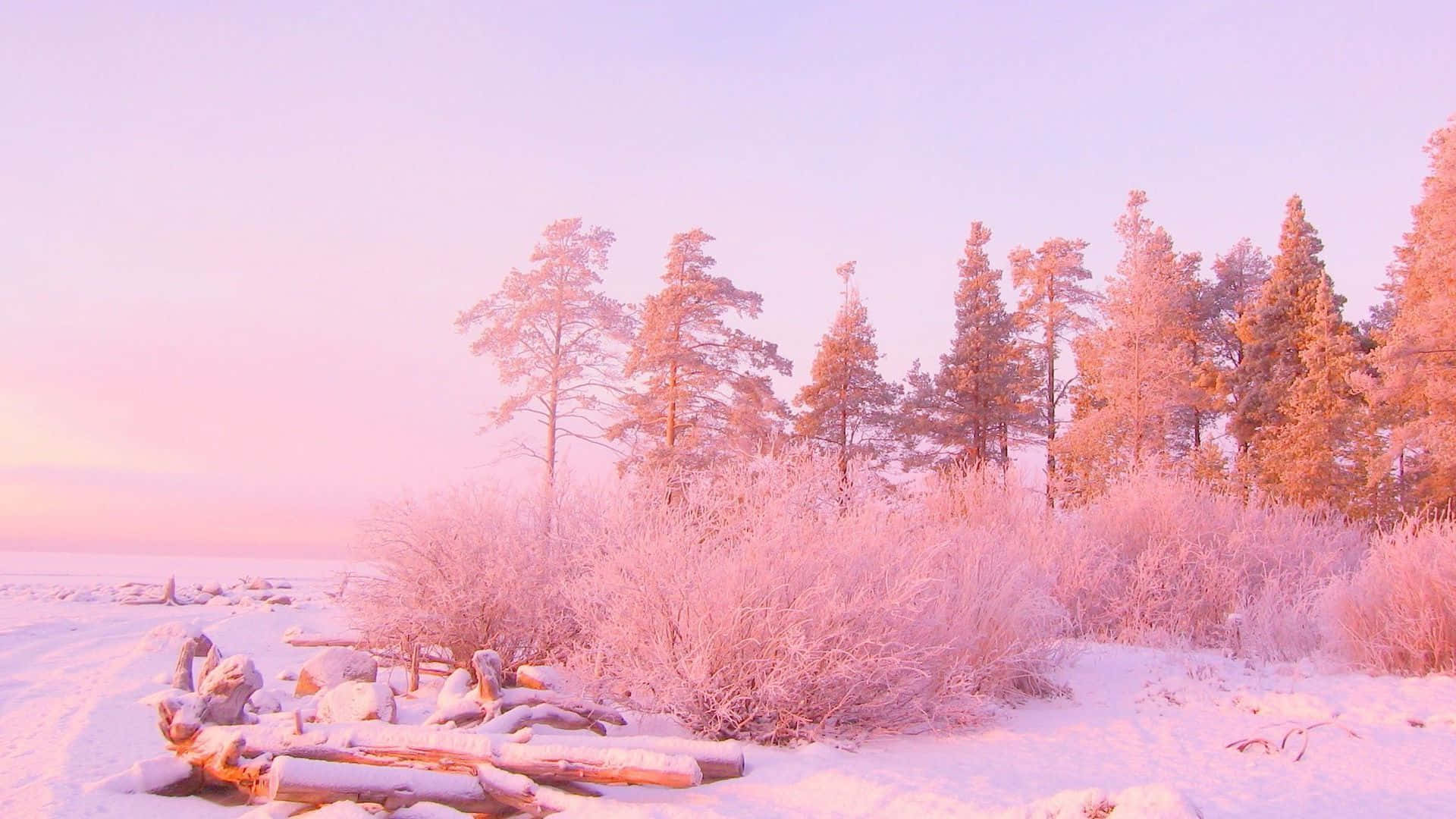 Pink Winter Sunset Forest Landscape Wallpaper