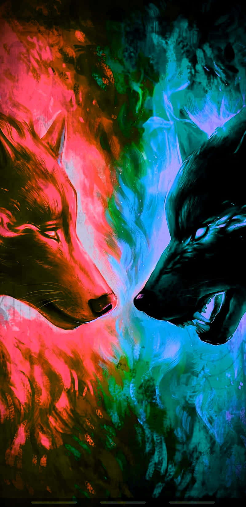 Two Wolves Facing Each Other In A Colorful Background Wallpaper