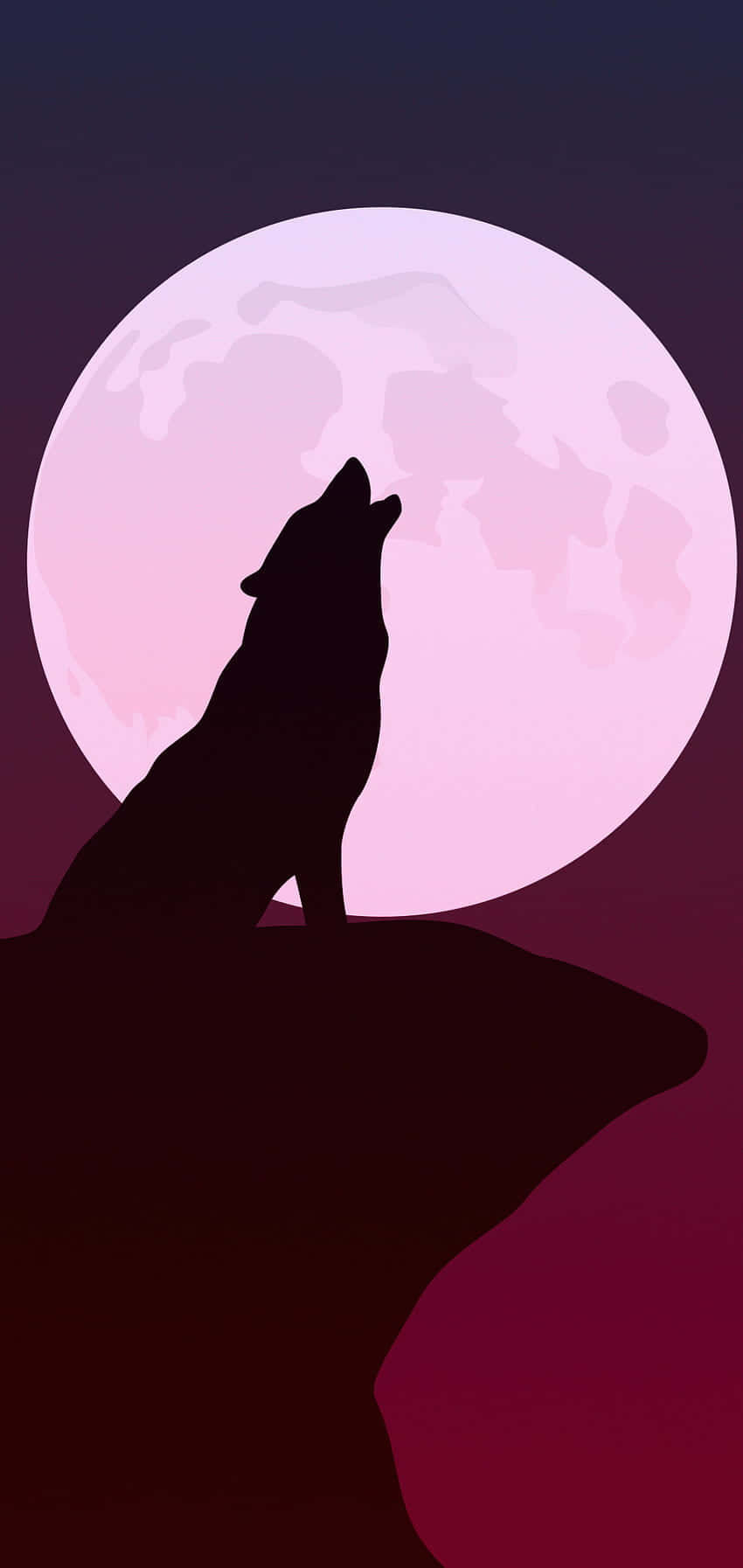 “The Bold and Majestic Pink Wolf” Wallpaper