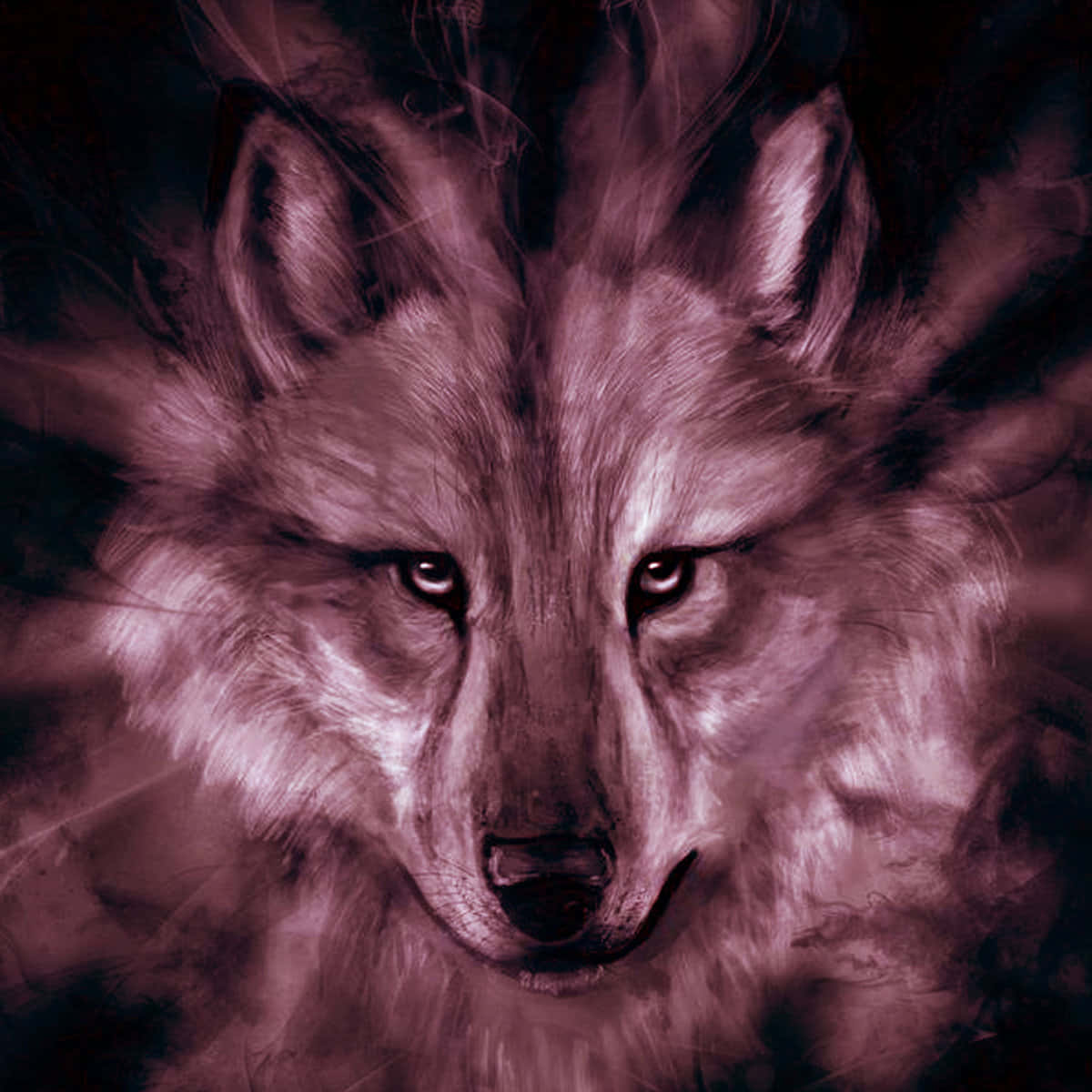 Download An Intensely Colored Pink Wolf Wallpaper | Wallpapers.com