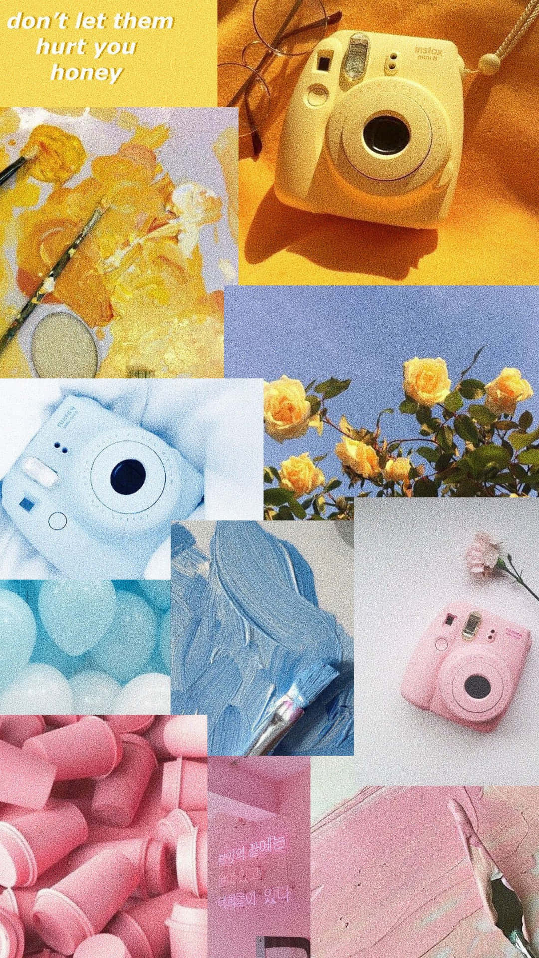 En collage af billeder af blomster, et kamera, og et kamerafilter Wallpaper