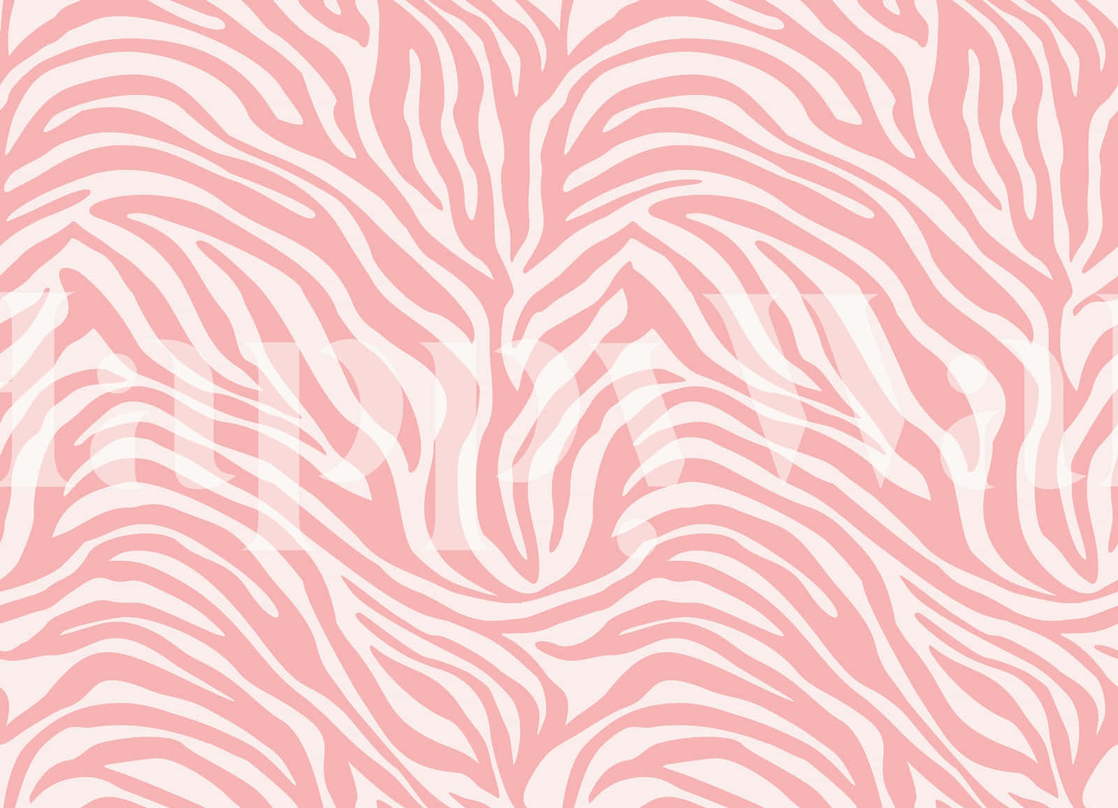 Etlyserødt Og Hvidt Zebra-print Mønster. Wallpaper