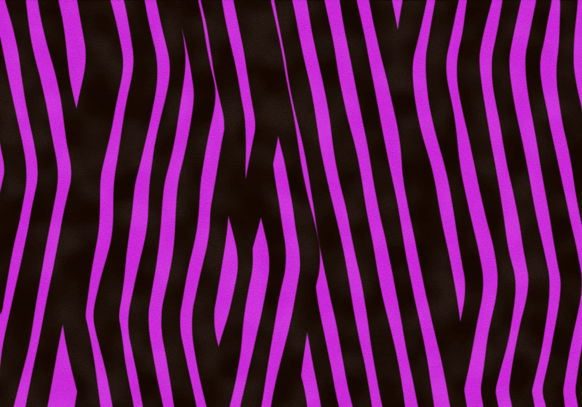 Vertical Black And Pink Zebra Stripe Wallpaper