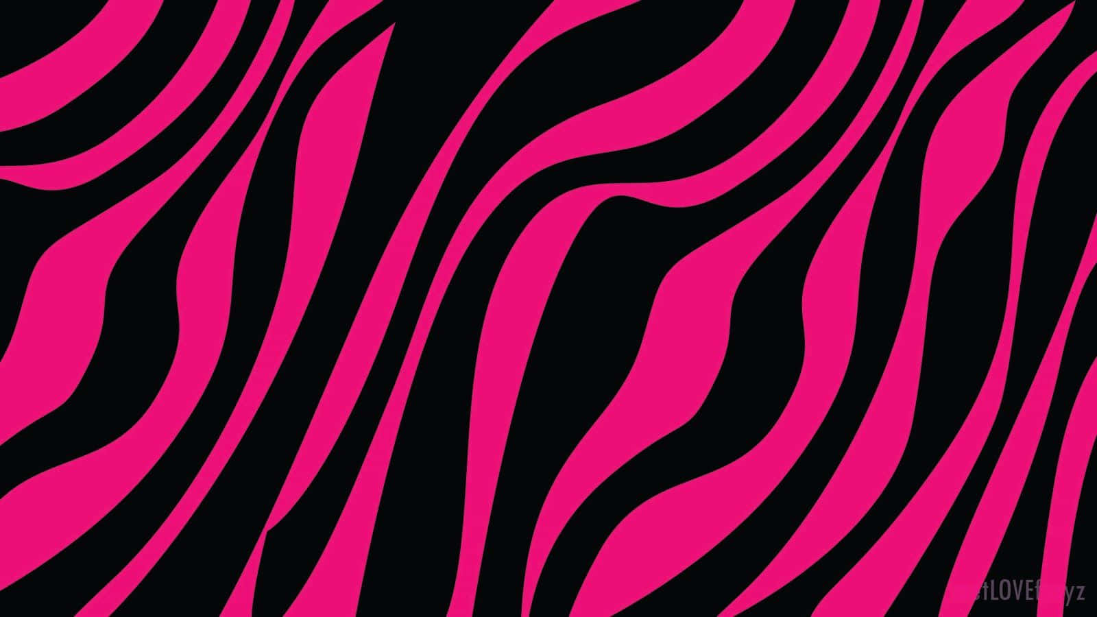 Einetapete Mit Pinkem Und Schwarzem Zebramuster Wallpaper