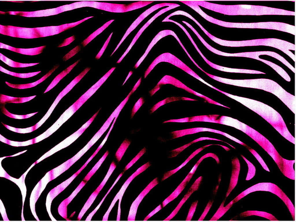 Impresiónde Cebra Rosa Y Negra Fondo de pantalla