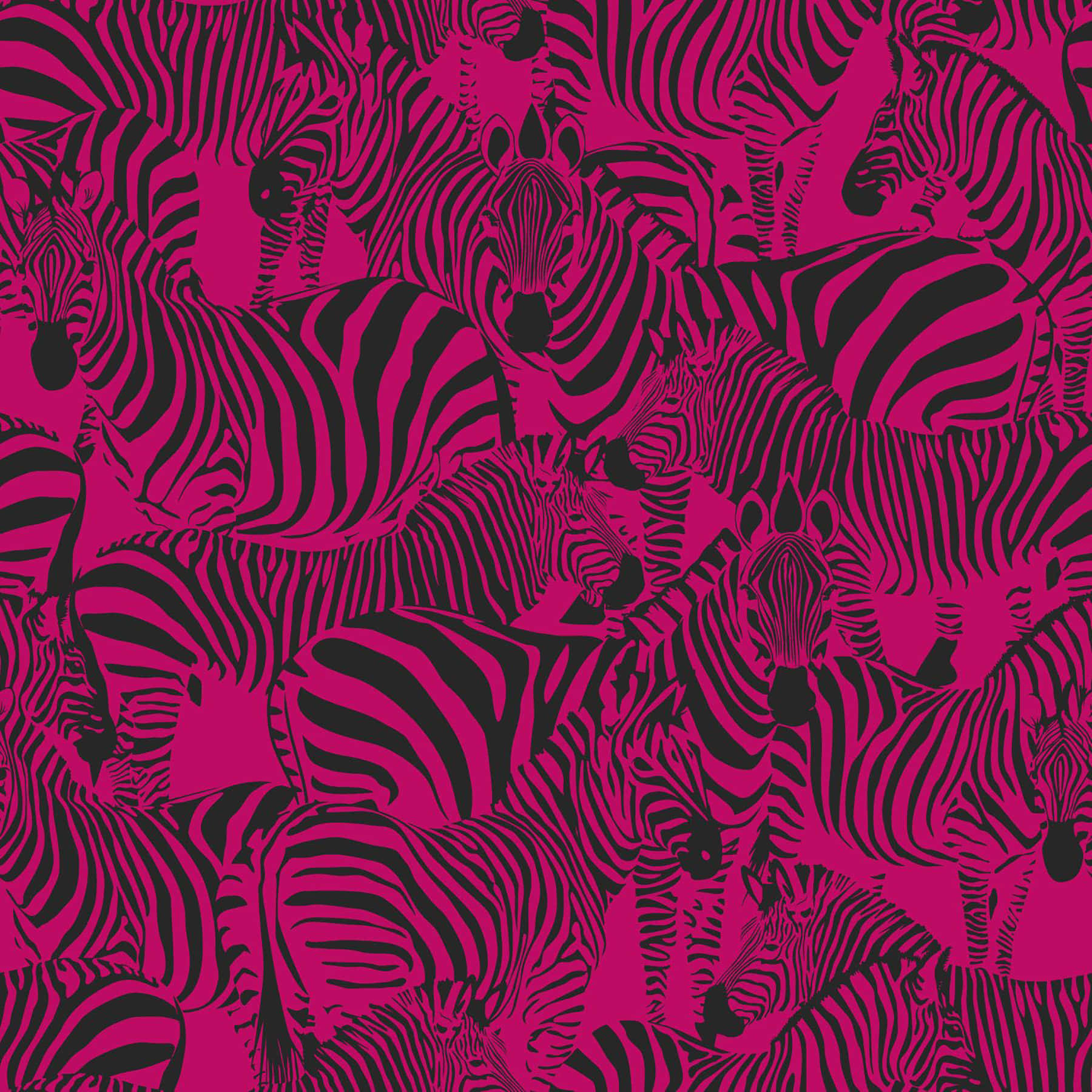Black Pink Zebra Animal Figure Pattern Wallpaper