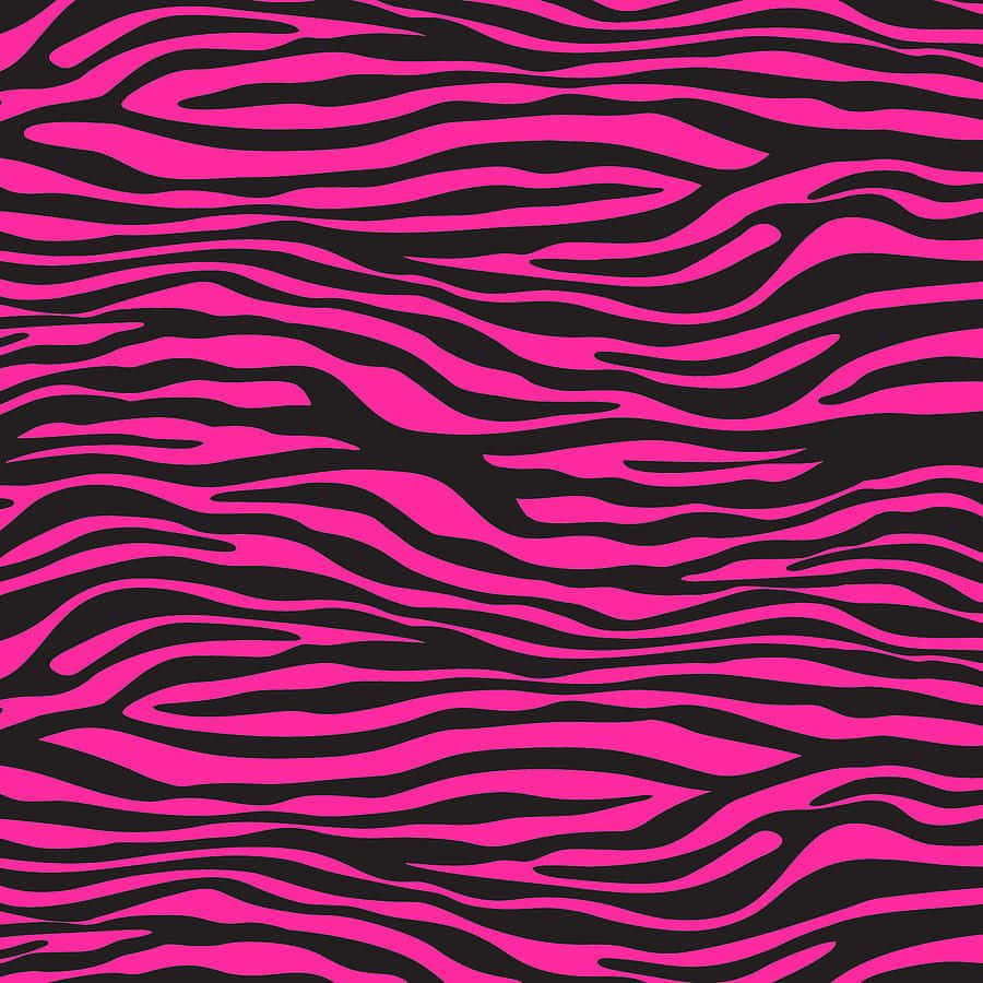 Lyserød Zebra 900 X 900 Wallpaper