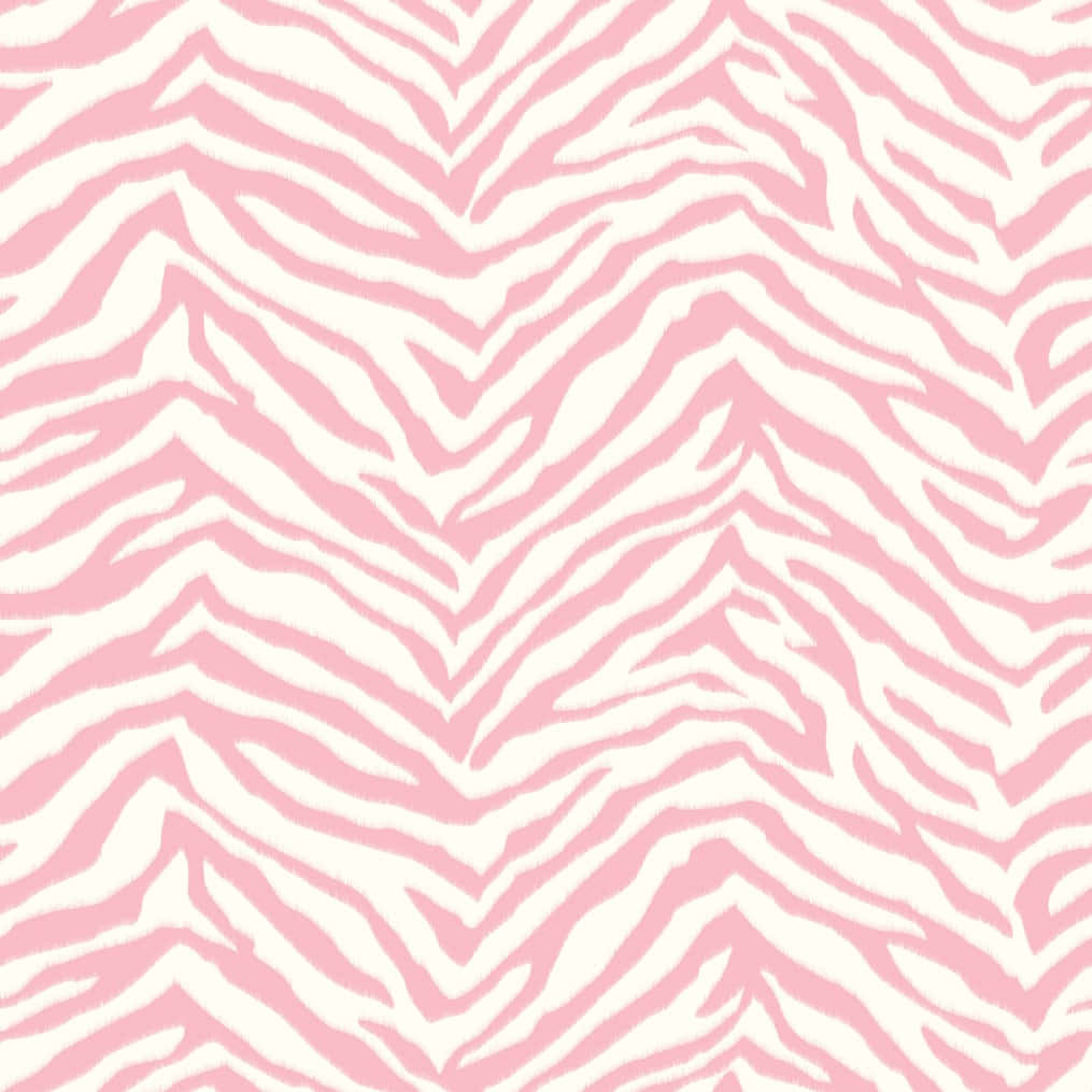 Lyserød Zebra 1015 X 1015 Wallpaper