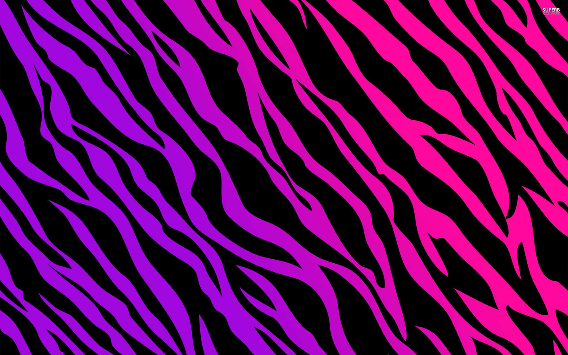 Bildleuchtend Pinke Zebrastreifen Auf Schwarzem Hintergrund. Wallpaper