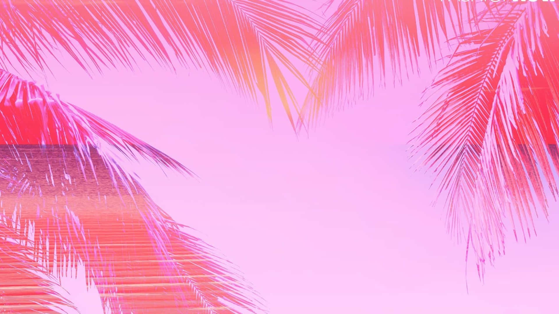 A Pink And Pink Background With Palm Trees