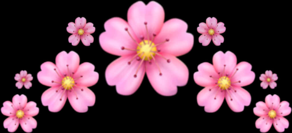 Pink_ Flowers_ Black_ Background PNG