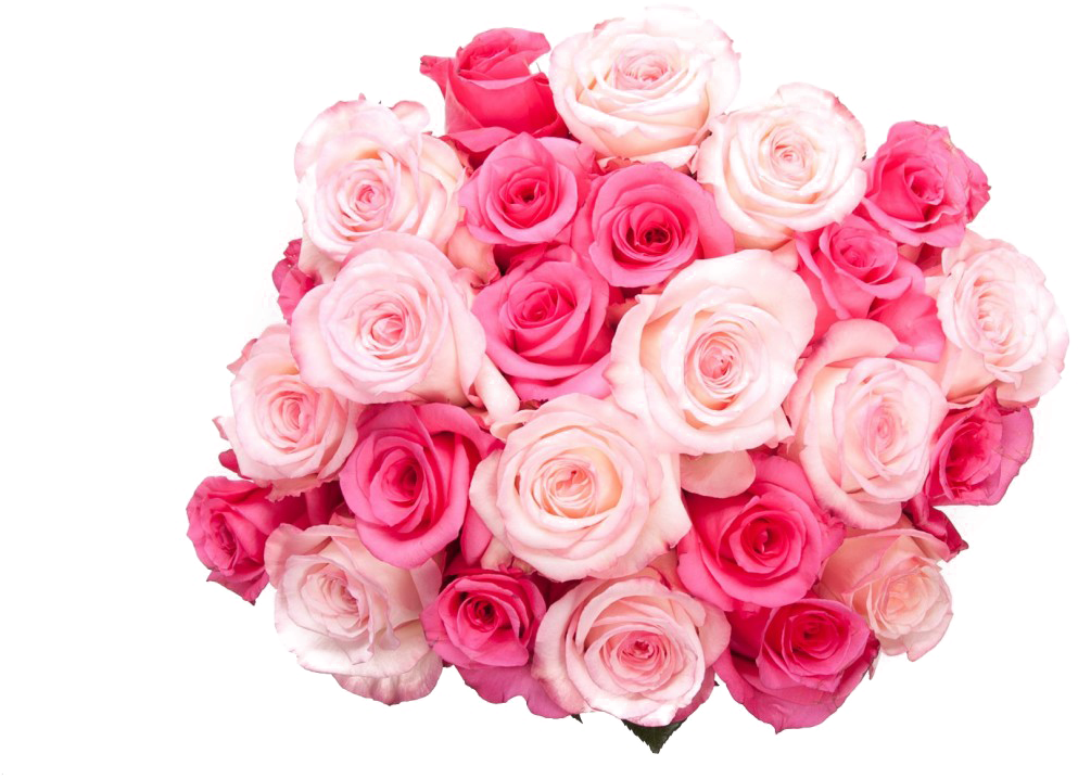Pink_ Rose_ Bouquet_ Top_ View.png PNG