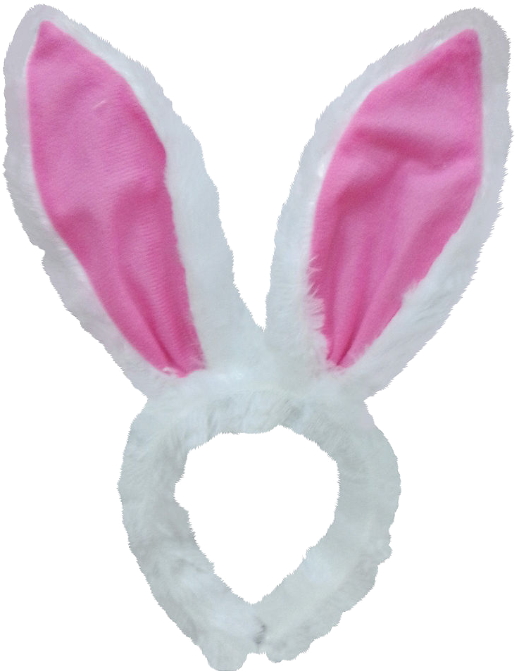 Pinkand White Bunny Ears Headband.png PNG