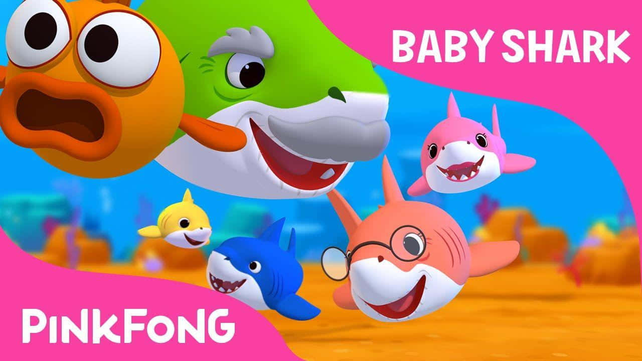 Pinkfong Baby Shark Chasing Fish Wallpaper