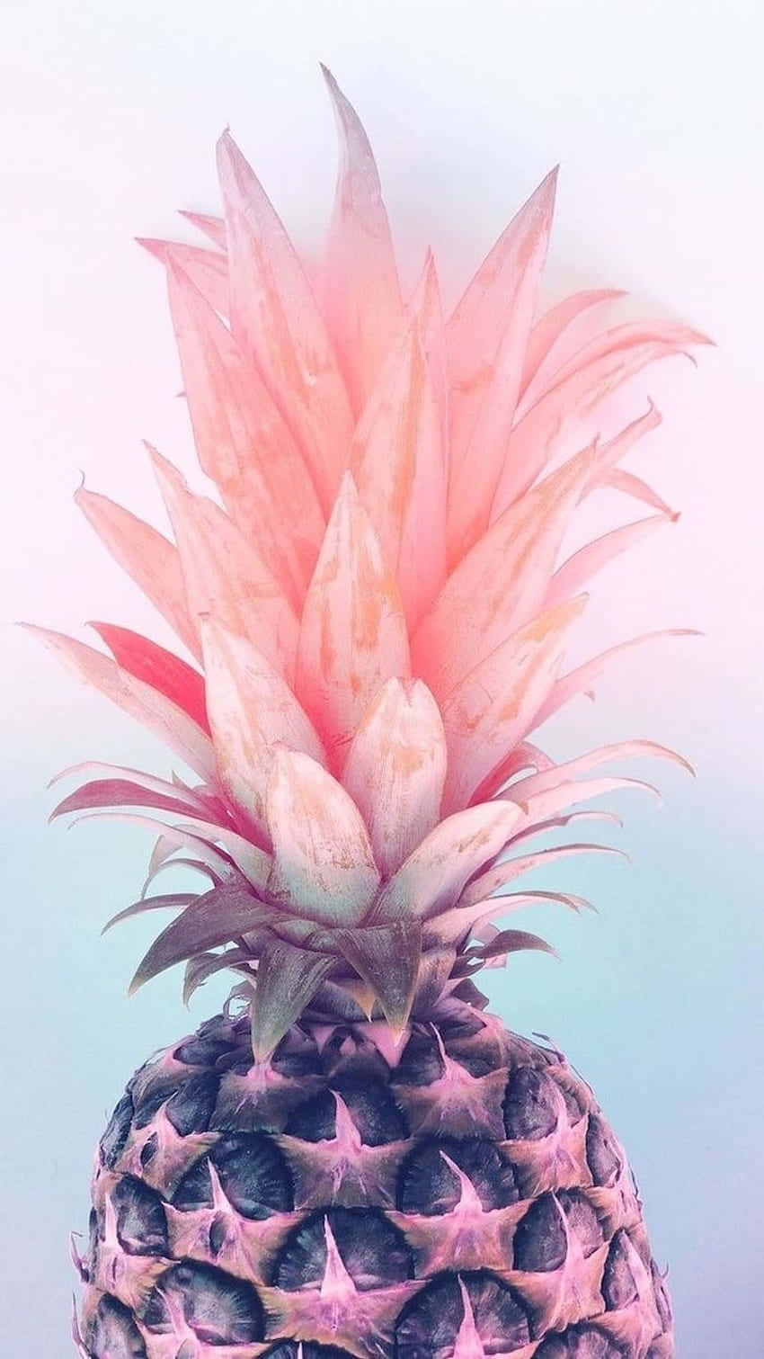 Download Pinkglow Cute Pink Pineapple Wallpaper 