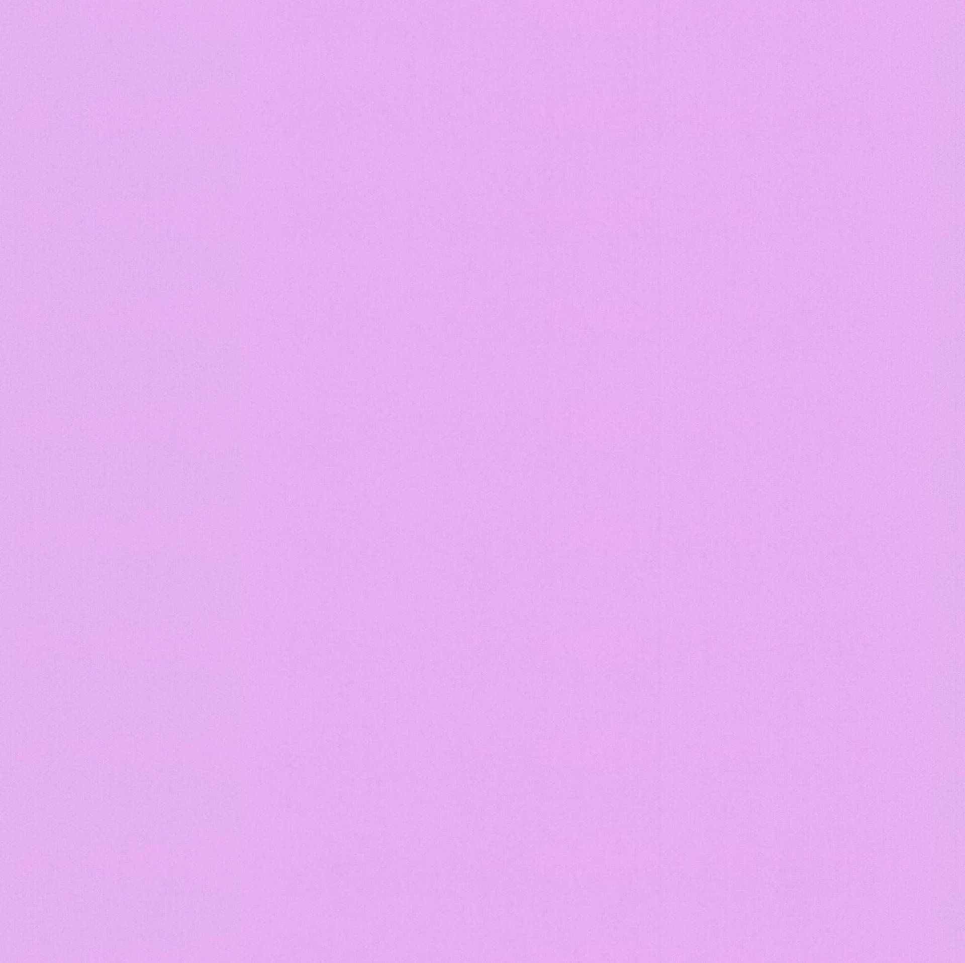 Pinkish Plain Lilla Wallpaper