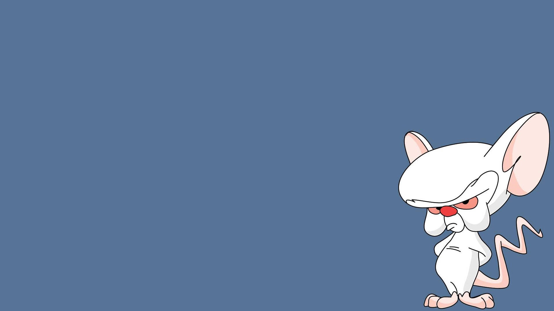 Pinky And The Brain Alone Wallpaper