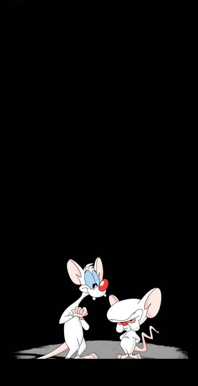 Pinky And The Brain Black Background Wallpaper