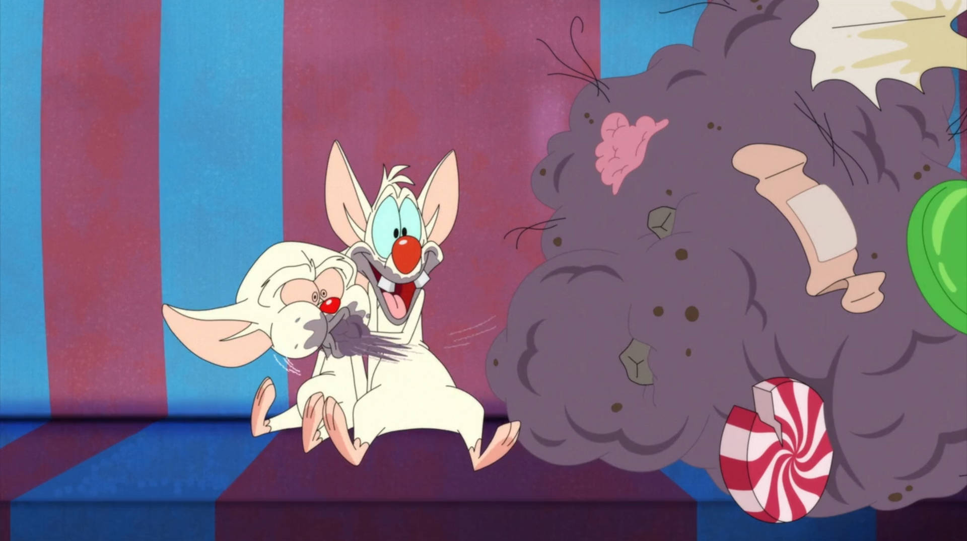 Pinky And The Brain Funny Scene Wallpaper