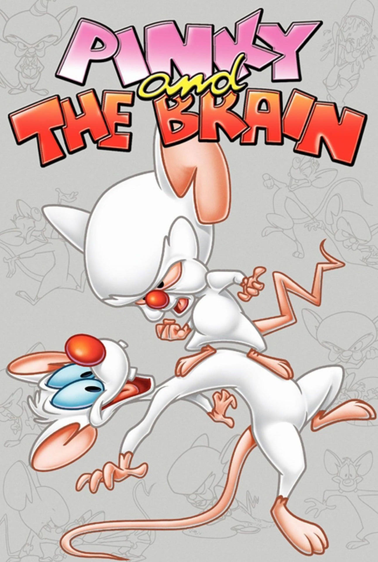 Pinky And The Brain Grey Poster Wallpaper