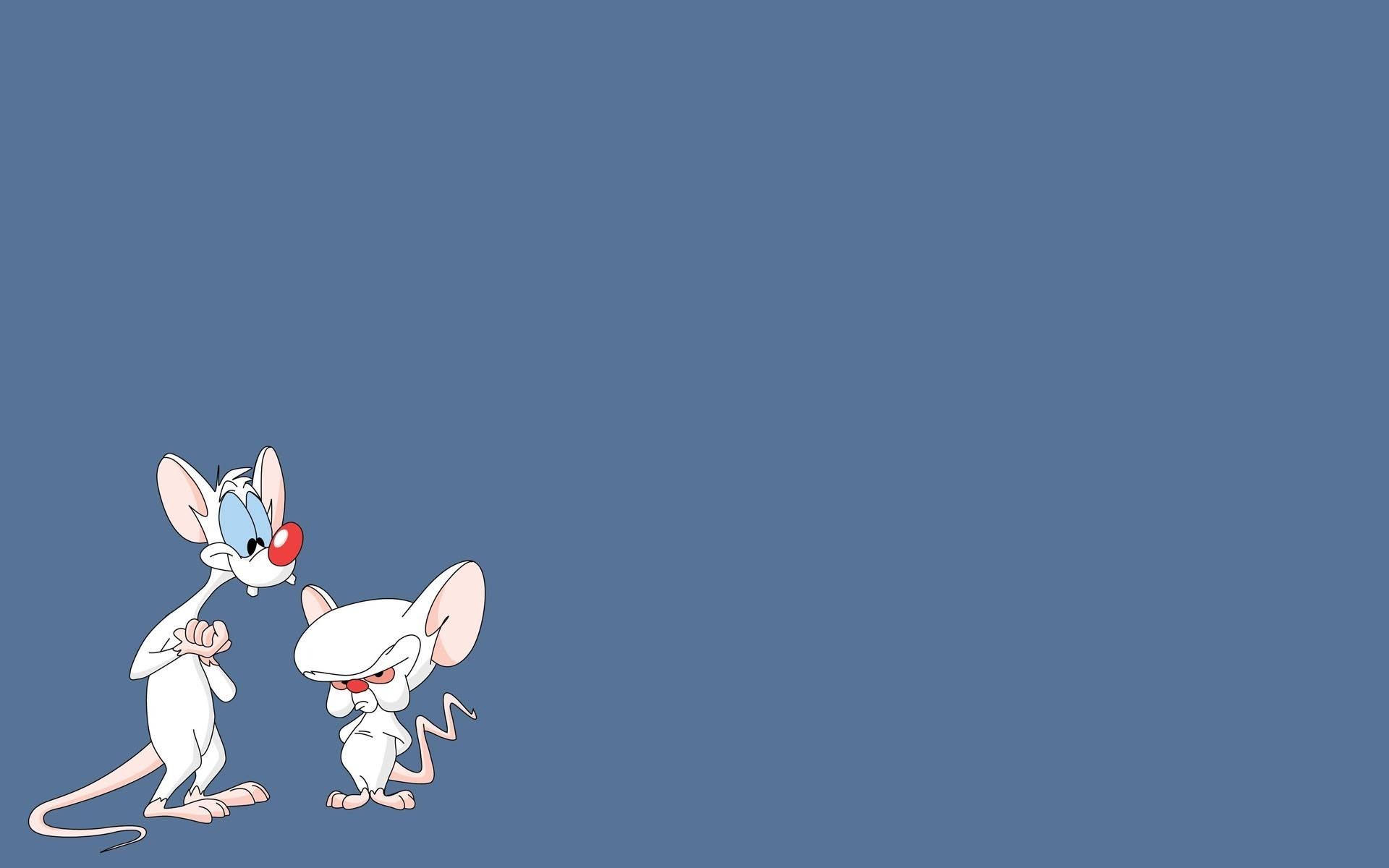 Pinky And The Brain Pastel Blue Wallpaper
