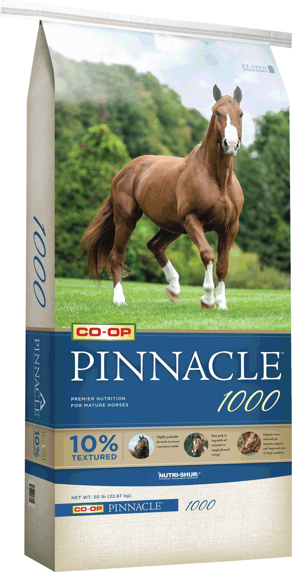 Pinnacle1000 Horse Feed Bag Design PNG