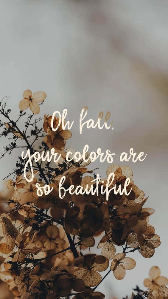 Pinterestschönes Zitat Über Die Herbstfarben Wallpaper