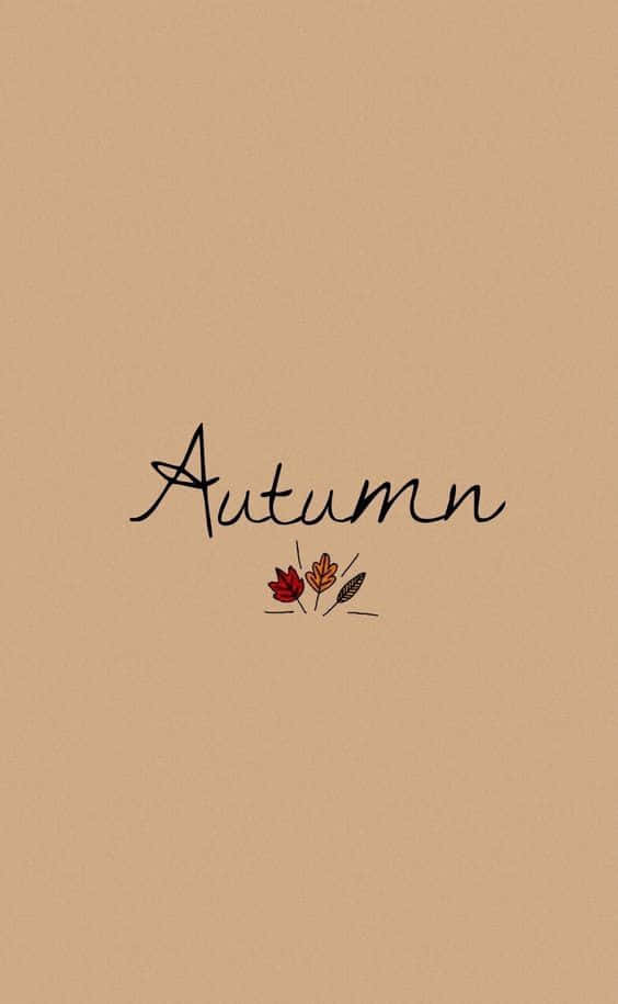Fejr farverne om efteråret Wallpaper