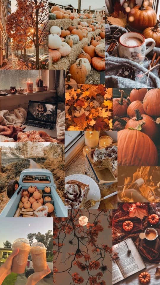 Enjoy the bonfire on a crisp autumn night Wallpaper