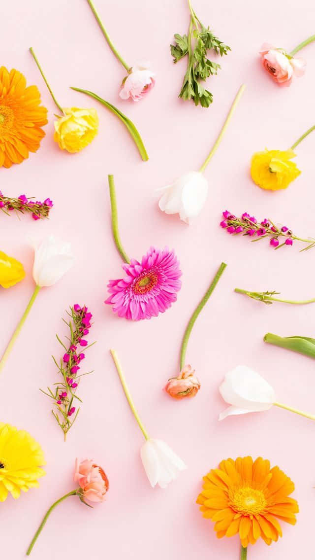 A Bunch Of Flowers On A Pink Background