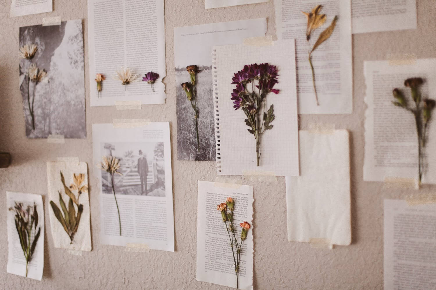Pinterestlaptop-wand Mit Getrockneten Blumen Wallpaper