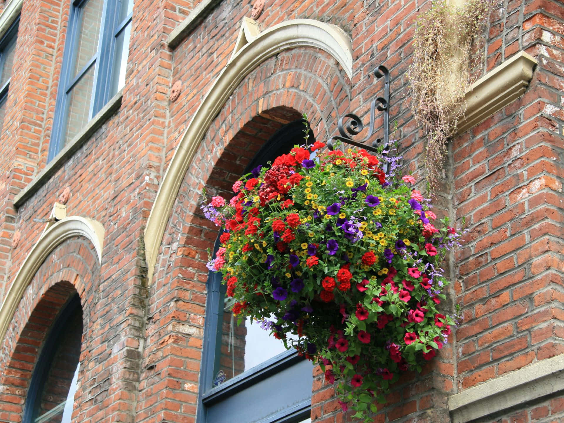 Pioneer Square Floral Display Seattle Wallpaper