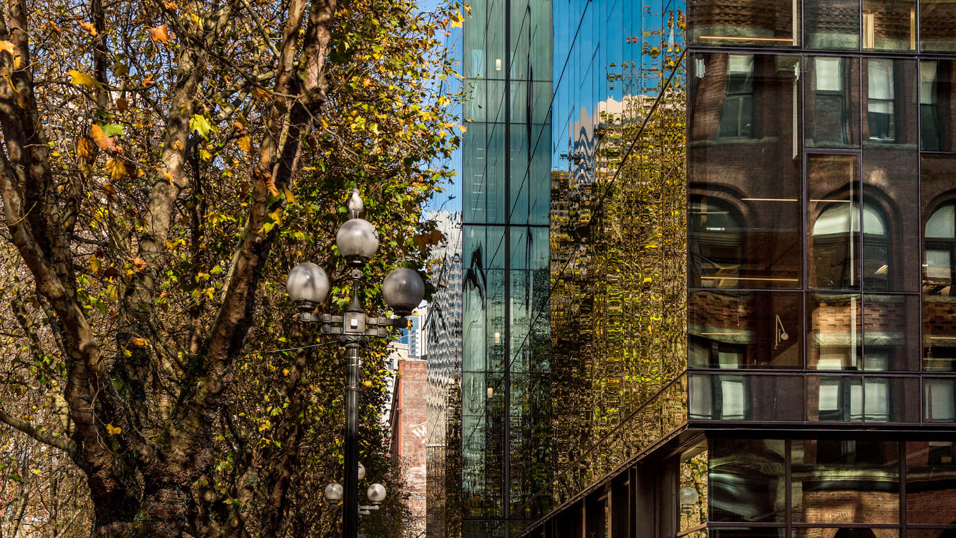 Pioneer Square Seattle Arkitektonisk Kontrast Bakgrunnsbildet