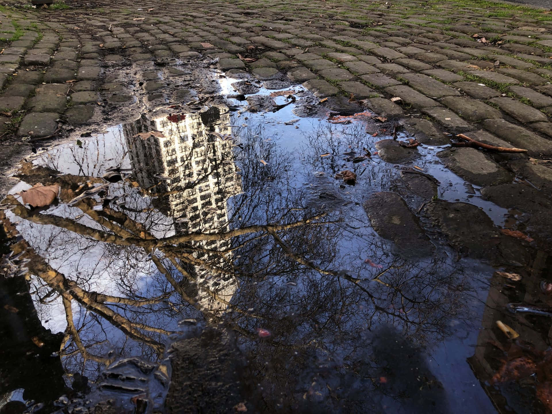 Pioneer Square Seattle Reflection Wallpaper