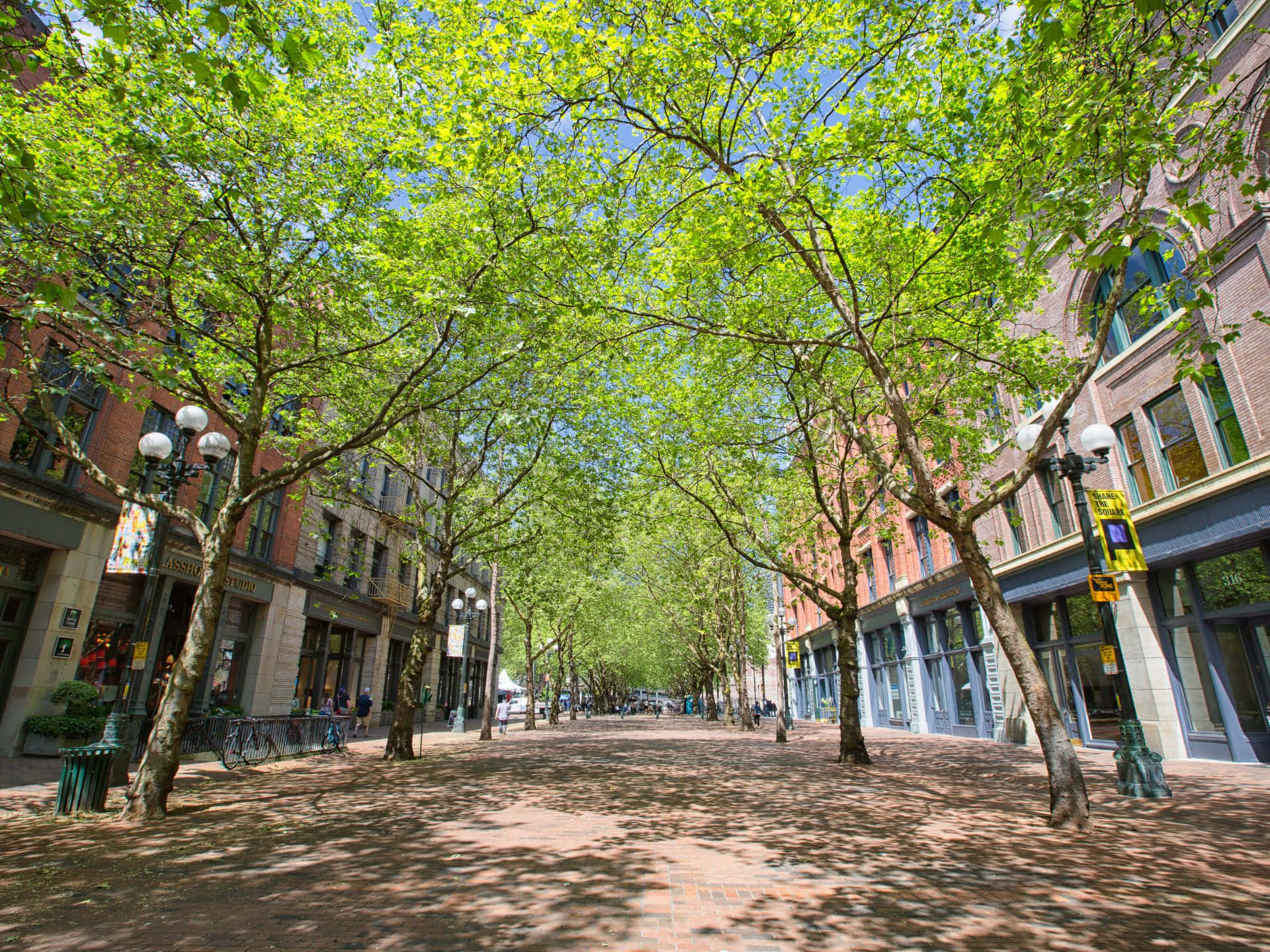 Pioneer Square Seattle Aurinkoisena Päivänä Taustakuva