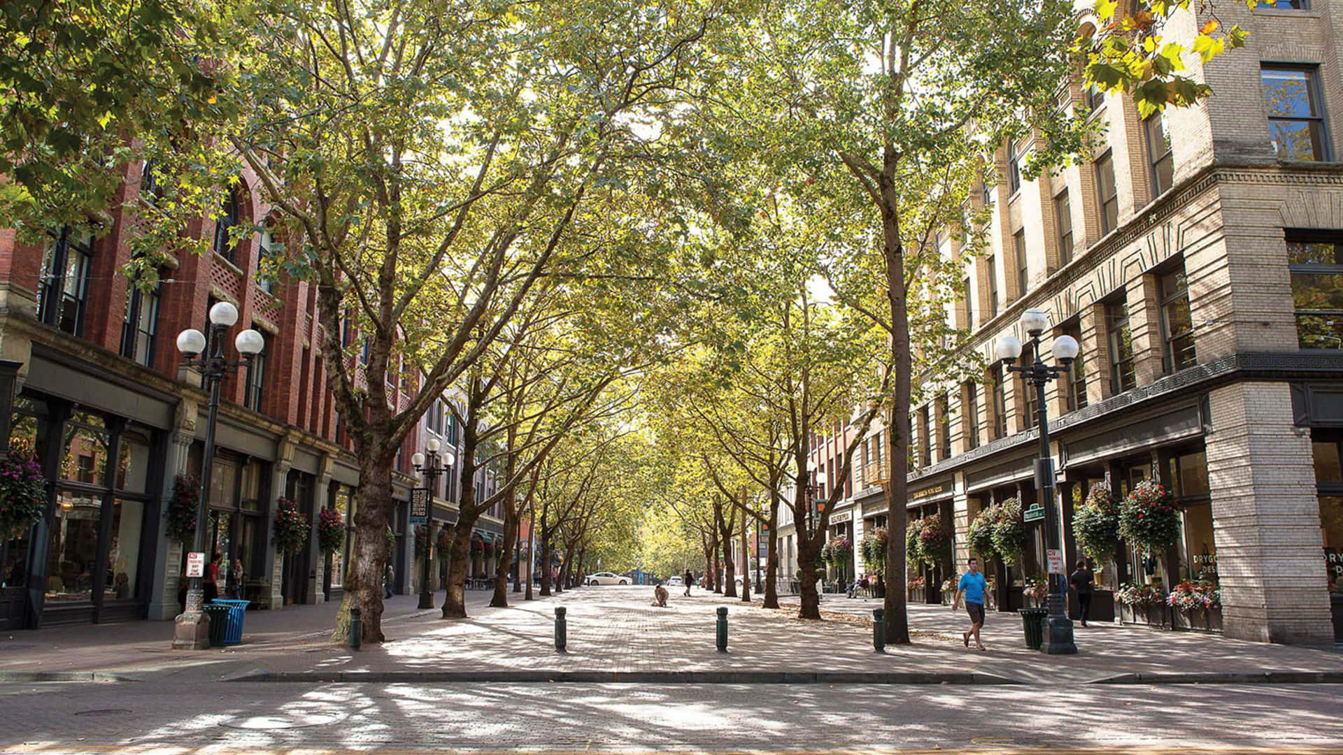 Pioneer Square Seattle Aurinkoinen Päivä Taustakuva