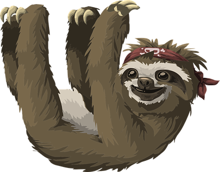 Pirate Bandana Sloth Hanging PNG