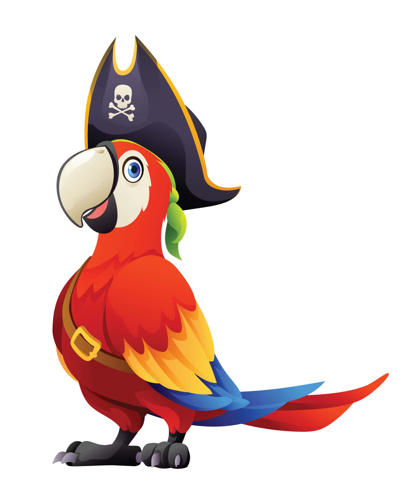 Pirate Parrot Cartoon Illustration Wallpaper