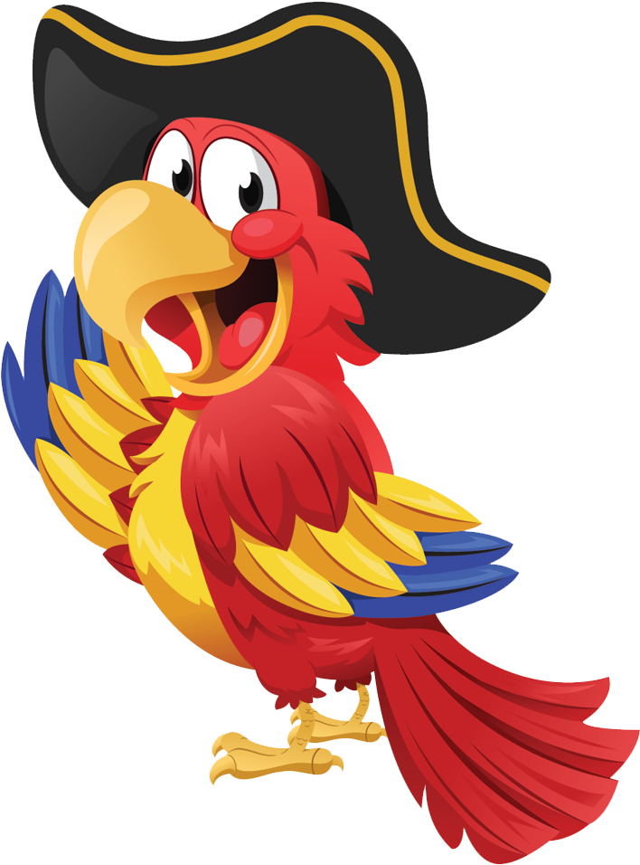 Pirate Parrot Cartoon Illustration PNG