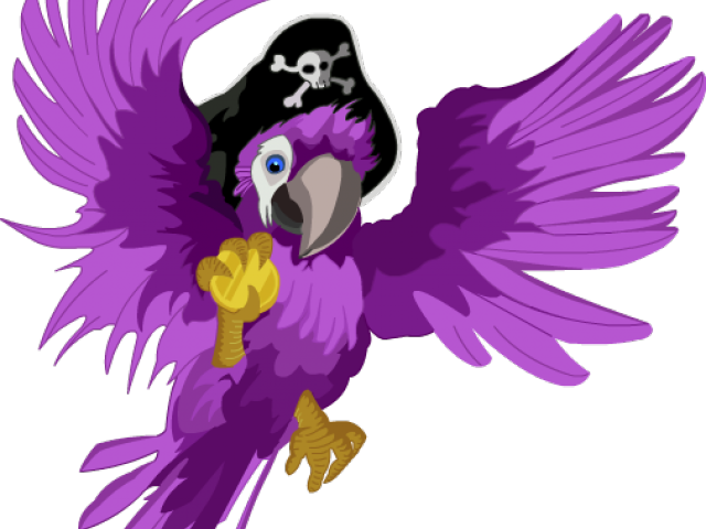 Pirate Parrot Illustration PNG