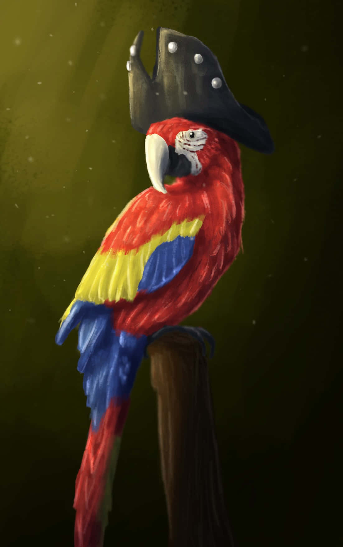 Pirate Parrotwith Hat Wallpaper